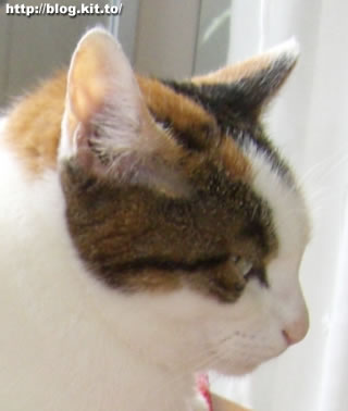 d060725b.jpg