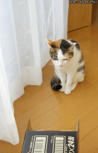 d051107g.jpg