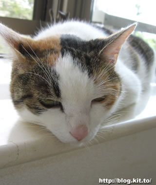d060820g.jpg