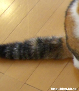 d060508b.jpg