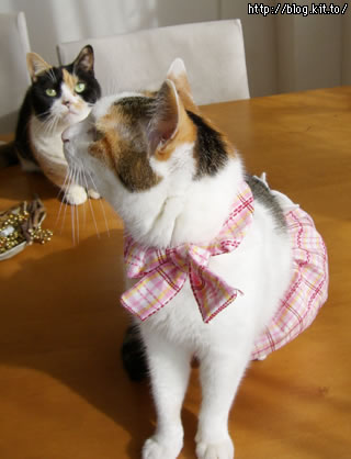 d050117q.jpg