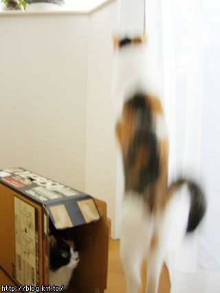 d051107o.jpg