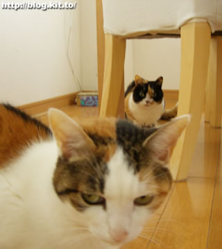 d060326d.jpg