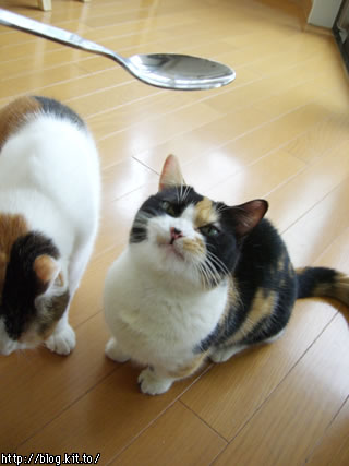 d050930h.jpg