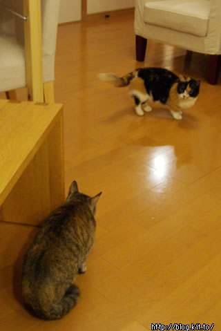 d060207e.jpg
