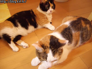 d050918g.jpg