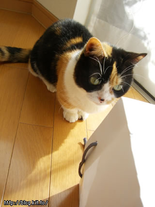 d060225a.jpg