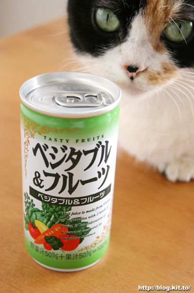 d060926z.jpg