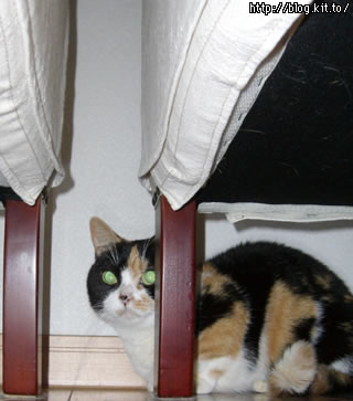 d060207b.jpg