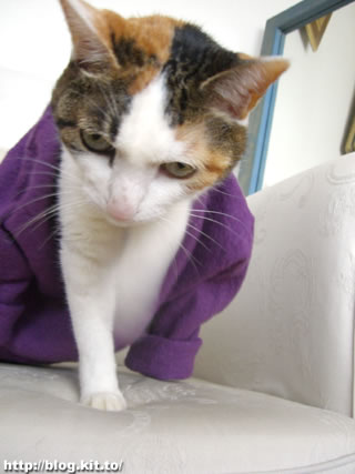 d060309g.jpg