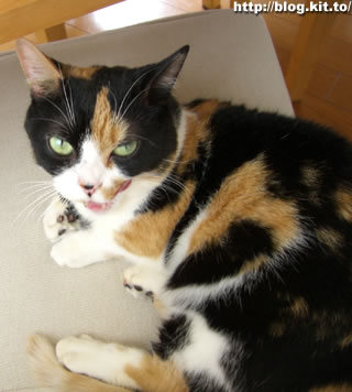 d060507d.jpg