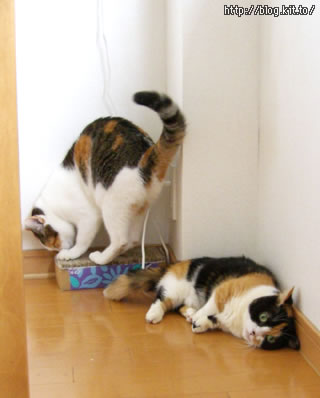 d051007f.jpg