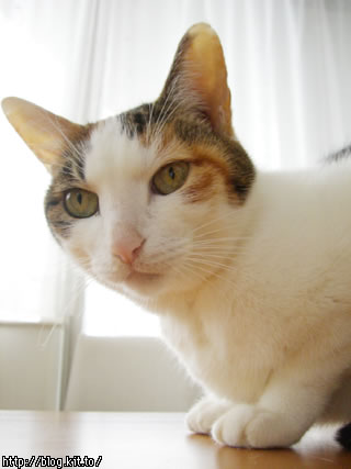 d060211a.jpg