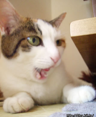 d050817f.jpg