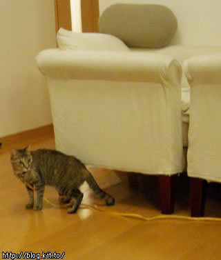 d060130n.jpg
