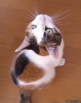 d050527d.jpg