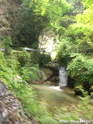 d060606a.jpg