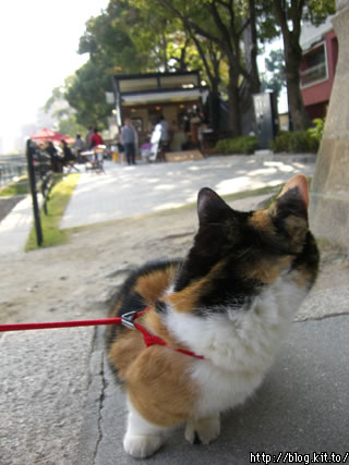 d051027l.jpg