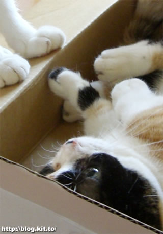 d060508c.jpg