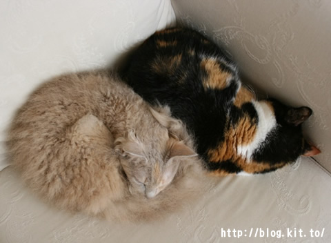 眠り