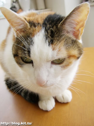 d060326f.jpg