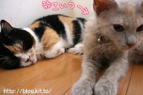 安眠