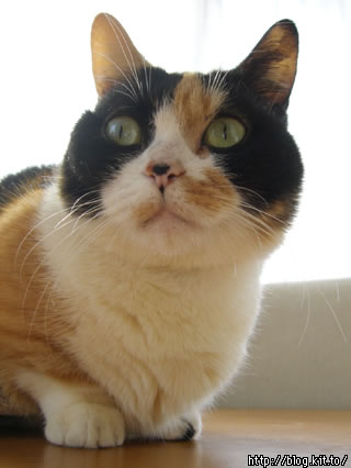 d060218b.jpg