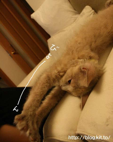 くる