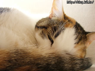 d051126a.jpg