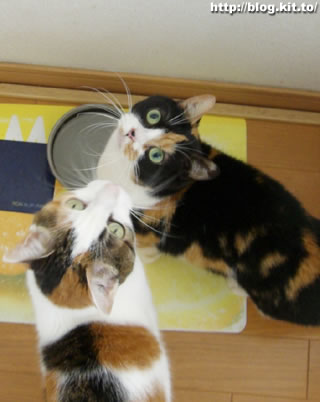 d060420e.jpg