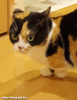 d060327c.jpg