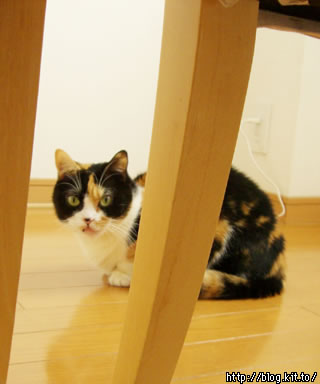 d051123c.jpg