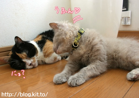 安眠
