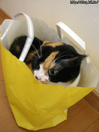 d060215d.jpg