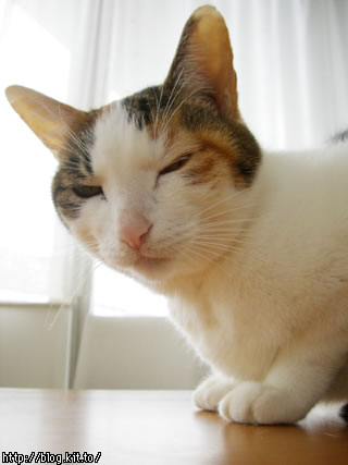 d060211b.jpg