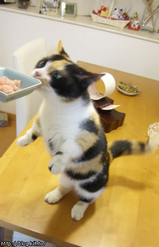 d060121a.jpg