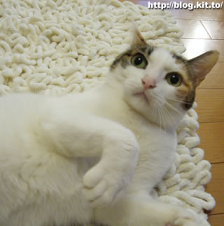 d060401h.jpg
