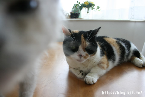 �ʤä����3