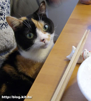 d060327b.jpg