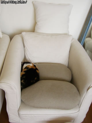 d060214g.jpg