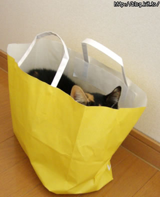 d060215e.jpg