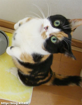 d060420f.jpg
