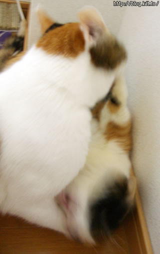 d051007c.jpg