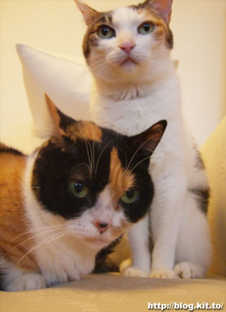 d060312g.jpg