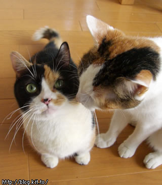 d020929f.jpg