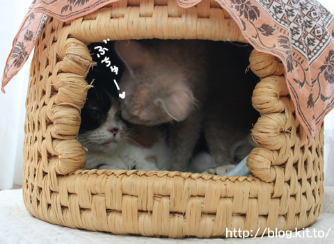 すりすり