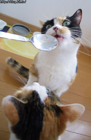 d050818f.jpg