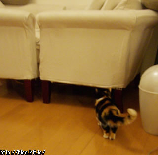 d060130i.jpg