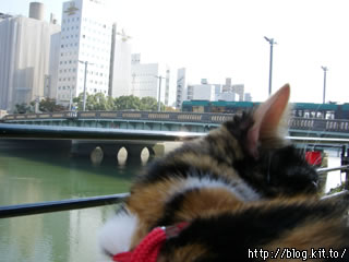 d051027k.jpg