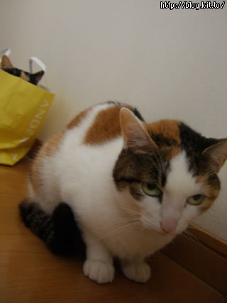 d060215i.jpg